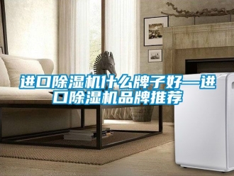 企业动态进口除湿机什么牌子好—进口除湿机品牌推荐