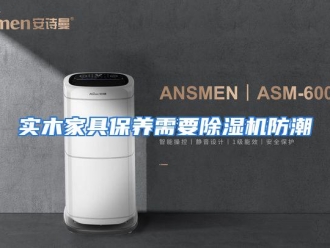 行业资讯实木家具保养需要除湿机防潮