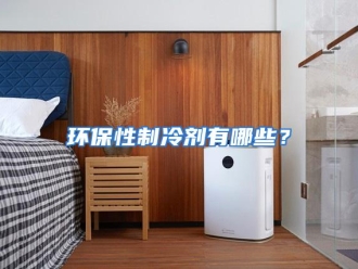 常见问题环保性制冷剂有哪些？