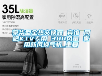 企业动态豪华型全热交换器 宾馆 网吧KTV专用 300风量 家用新风换气机_重复