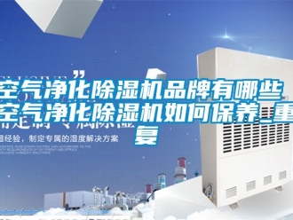 企业动态空气净化除湿机品牌有哪些 空气净化除湿机如何保养_重复