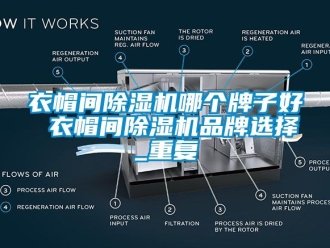 企业动态衣帽间除湿机哪个牌子好 衣帽间除湿机品牌选择_重复