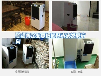 知识百科除湿机企业要把握好未来发展方向