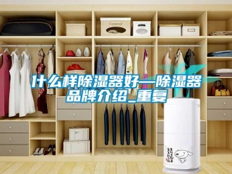 行业资讯什么样除湿器好—除湿器品牌介绍_重复