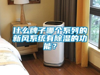 行业资讯什么牌子哪个系列的新风系统有除湿的功能？