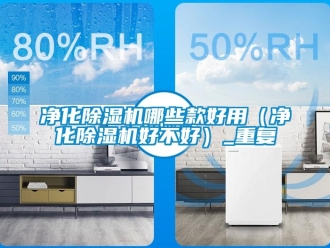行业资讯净化除湿机哪些款好用（净化除湿机好不好）_重复