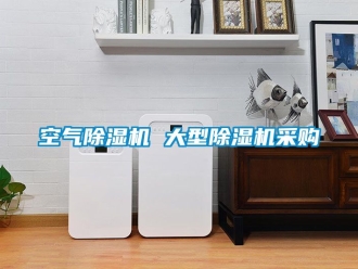 行业资讯空气除湿机 大型除湿机采购