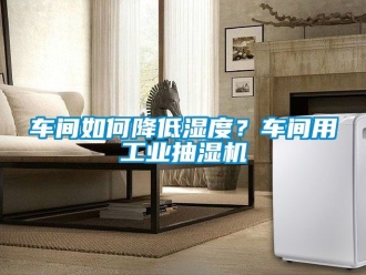 企业动态车间如何降低湿度？车间用工业抽湿机