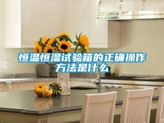 知识百科恒温恒湿试验箱的正确操作方法是什么