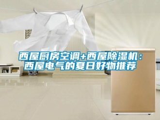 行业资讯西屋厨房空调+西屋除湿机：西屋电气的夏日好物推荐