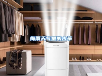 行业资讯梅雨天气里的古筝