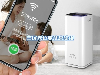 行业资讯三伏天也要注意除湿