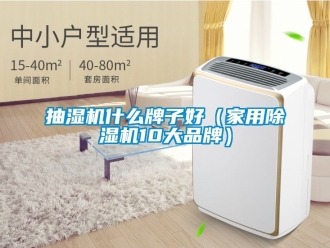企业动态抽湿机什么牌子好（家用除湿机10大品牌）