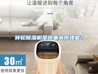 常见问题转轮除湿机是啥基本原理呢？