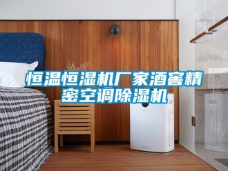 企业动态恒温恒湿机厂家酒窖精密空调除湿机