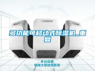 行业资讯多功能可移动式除湿机_重复