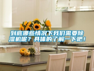 行业资讯到底哪些情况下我们需要除湿机呢？具体的了解一下吧！