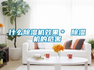行业资讯什么除湿机效果＊ 除湿机的危害