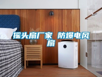 企业动态摇头扇厂家 防爆电风扇