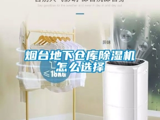企业动态烟台地下仓库除湿机怎么选择