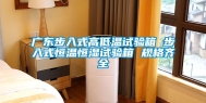 广东步入式高低温试验箱 步入式恒温恒湿试验箱 规格齐全