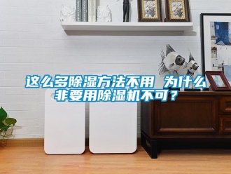 行业资讯这么多除湿方法不用 为什么非要用除湿机不可？