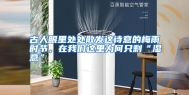古人眼里处处散发这诗意的梅雨时节，在我们这里为何只剩“湿意”