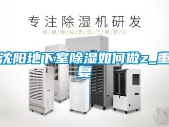 企业动态沈阳地下室除湿如何做z_重复