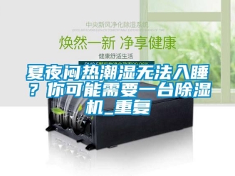行业资讯夏夜闷热潮湿无法入睡？你可能需要一台除湿机_重复