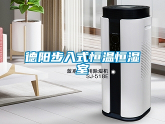 知识百科德阳步入式恒温恒湿室