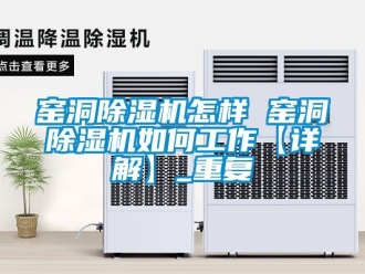 行业资讯窑洞除湿机怎样 窑洞除湿机如何工作【详解】_重复