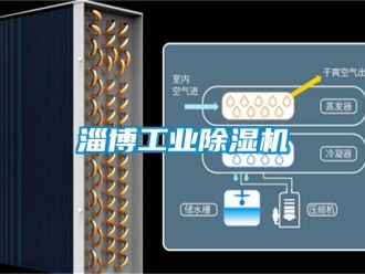 常见问题淄博工业除湿机