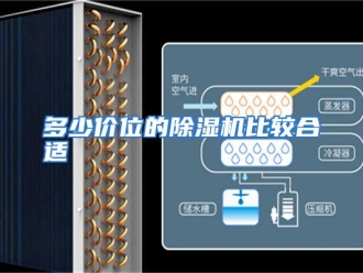 常见问题多少价位的除湿机比较合适