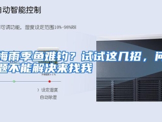 行业资讯梅雨季鱼难钓？试试这几招，问题不能解决来找我