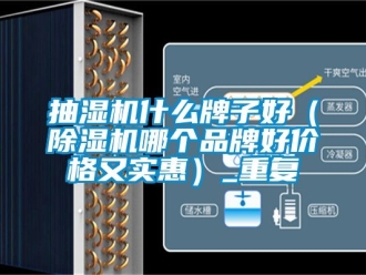 企业动态抽湿机什么牌子好（除湿机哪个品牌好价格又实惠）_重复