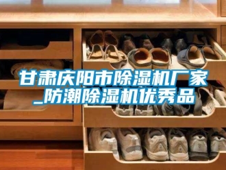 企业动态甘肃庆阳市除湿机厂家_防潮除湿机优秀品