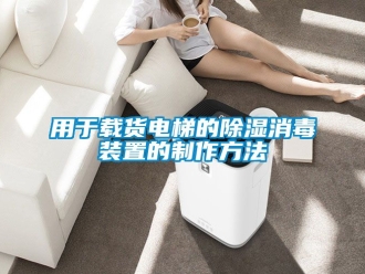行业资讯用于载货电梯的除湿消毒装置的制作方法