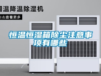 知识百科恒温恒湿箱除尘注意事项有哪些