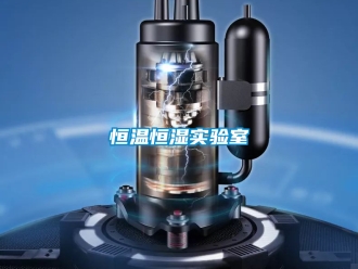 知识百科恒温恒湿实验室