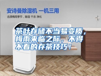 知识百科茶叶存储不当易变质，梅雨来临之际，不得不看的存茶技巧！
