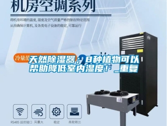 行业资讯天然除湿器；8种植物可以帮助降低室内湿度！_重复