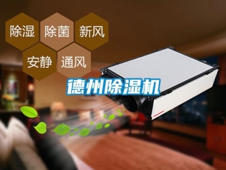 行业资讯德州除湿机