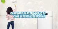 衣帽间除湿机哪个牌子好 衣帽间除湿机品牌选择