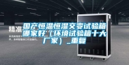国产恒温恒湿交变试验箱哪家好（环境试验箱十大厂家）_重复