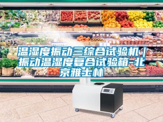 企业动态温湿度振动三综合试验机｜振动温湿度复合试验箱-北京雅士林