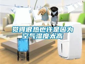 行业资讯觉得很热也许是因为空气湿度太高