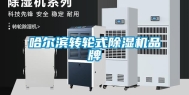 哈尔滨转轮式除湿机品牌