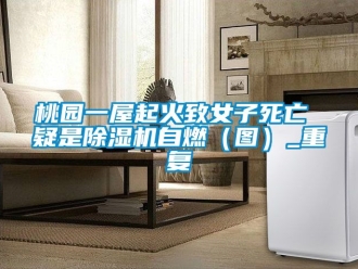 行业资讯桃园一屋起火致女子死亡 疑是除湿机自燃（图）_重复