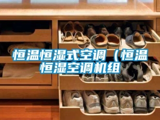知识百科恒温恒湿式空调（恒温恒湿空调机组