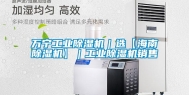 万宁工业除湿机｜选【海南除湿机】｜工业除湿机销售